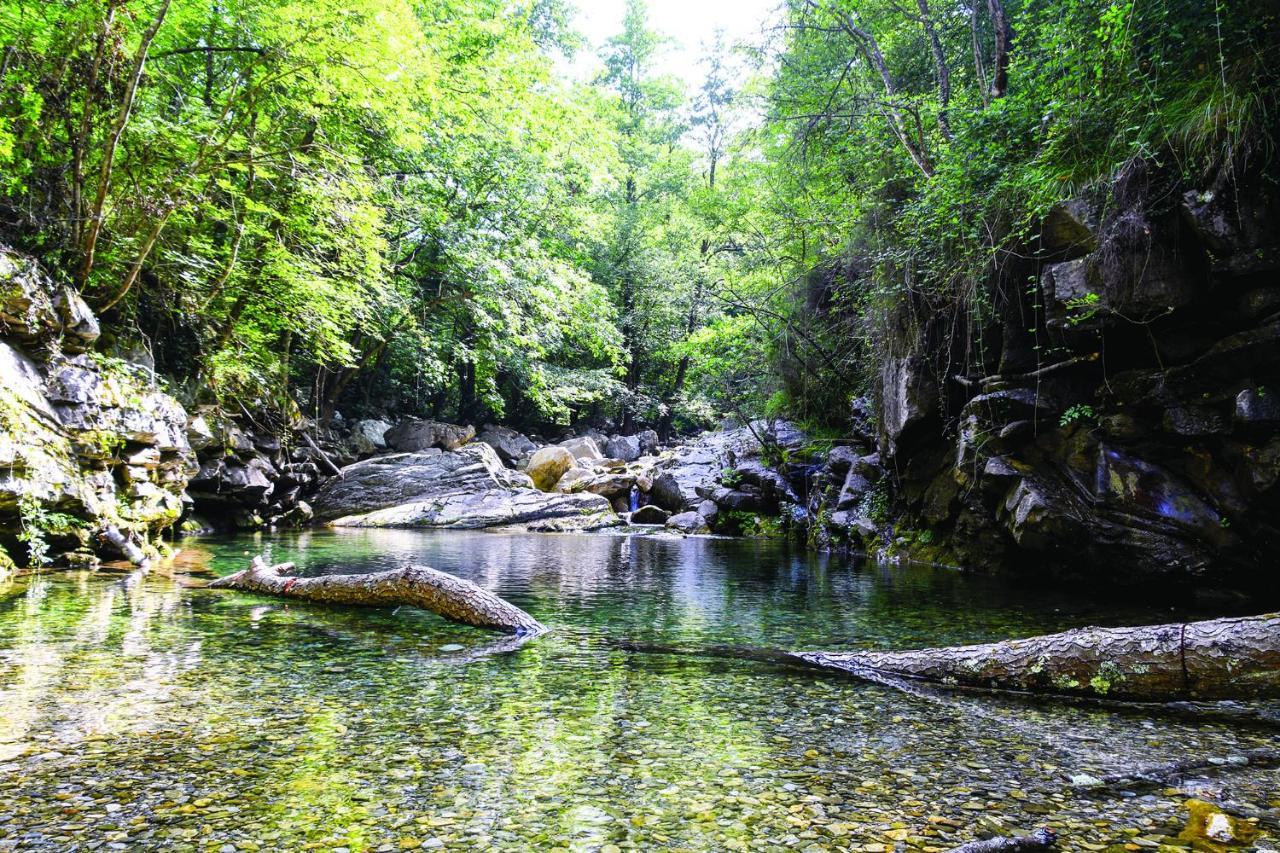 Agriturismo Nonnamelia Nasino Exteriér fotografie