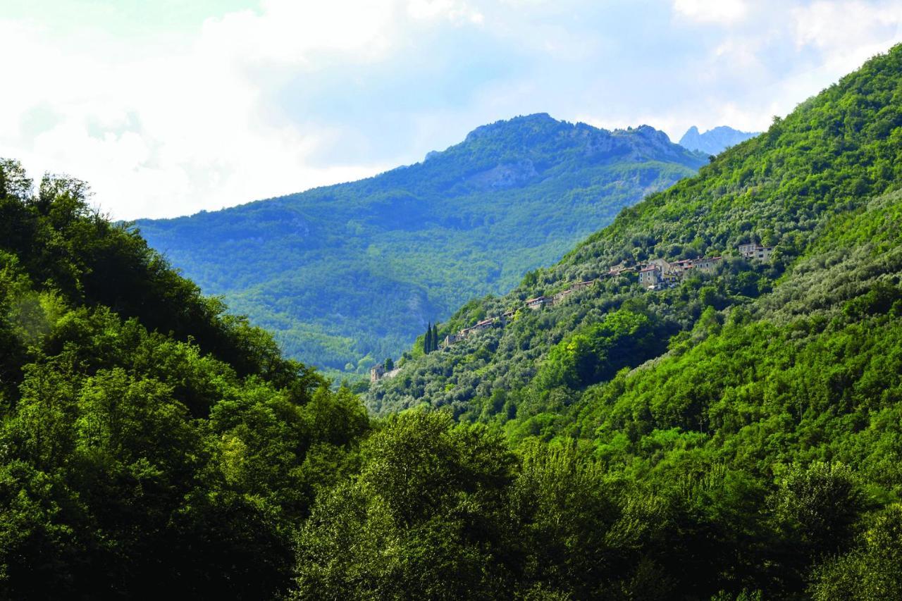 Agriturismo Nonnamelia Nasino Exteriér fotografie