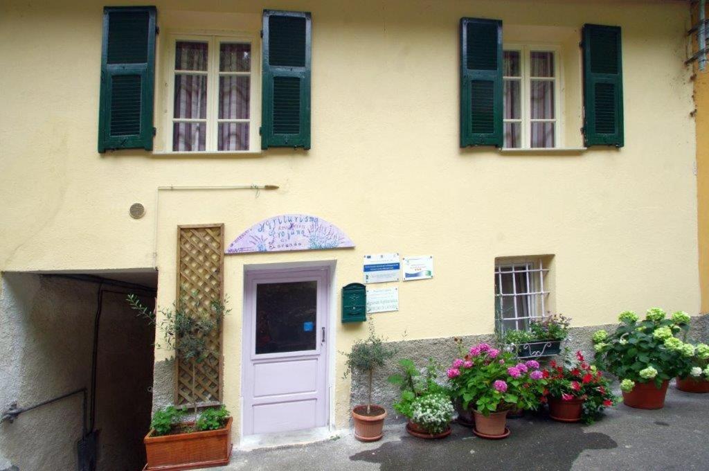 Agriturismo Nonnamelia Nasino Exteriér fotografie