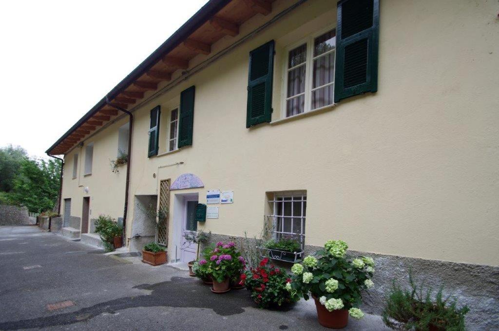 Agriturismo Nonnamelia Nasino Exteriér fotografie
