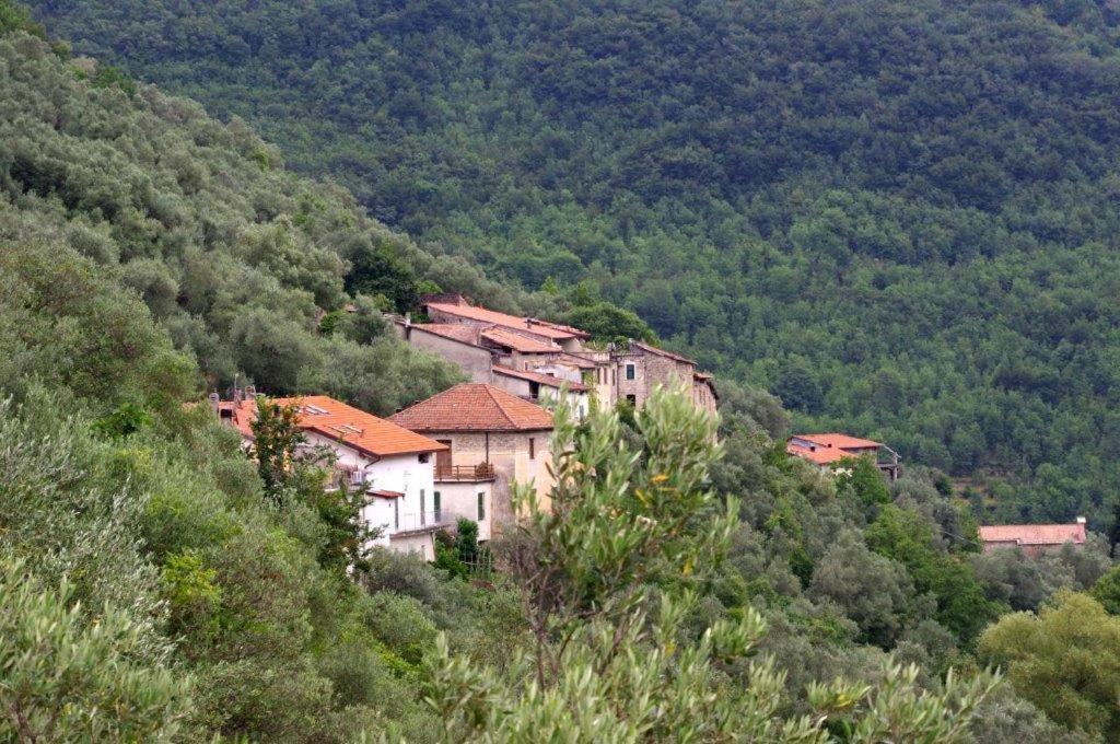 Agriturismo Nonnamelia Nasino Exteriér fotografie